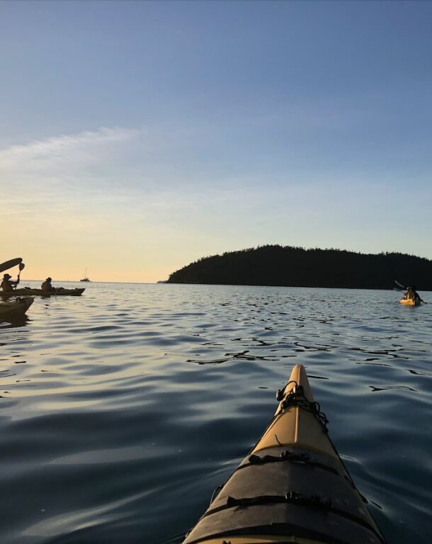Gold Duke of Ed: sea kayaking adventure in the Whitsundays thumbnail